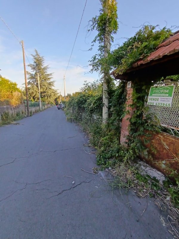 terreno agricolo in vendita a Pedara