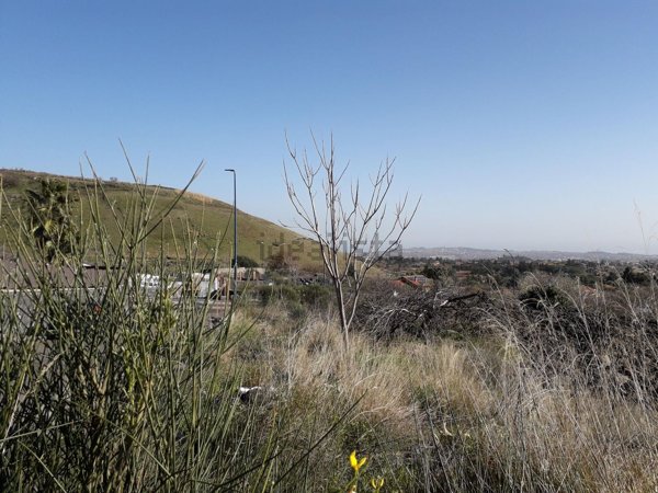 villa in vendita a Pedara