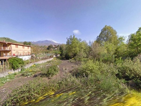 terreno agricolo in vendita a Pedara