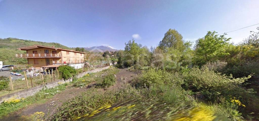 terreno agricolo in vendita a Pedara