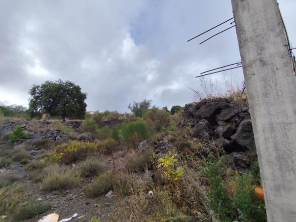 terreno agricolo in vendita a Pedara
