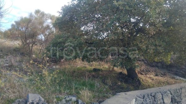 casa indipendente in vendita a Pedara