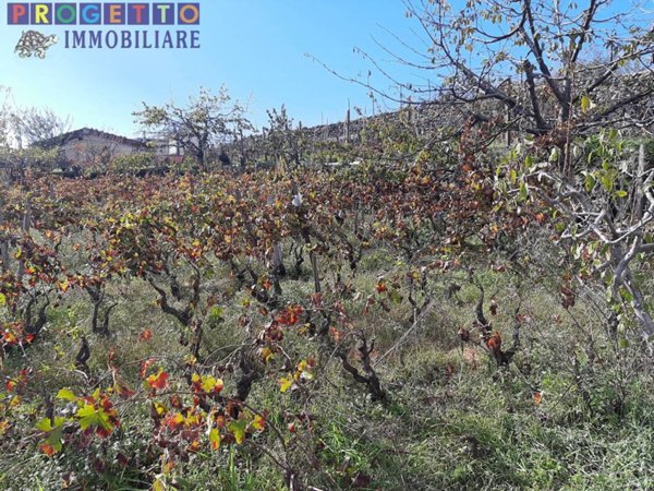 terreno agricolo in vendita a Pedara