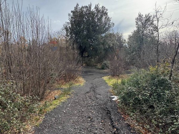 terreno agricolo in vendita a Pedara in zona Tarderia