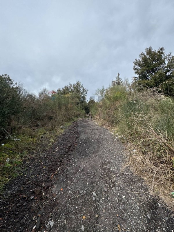 terreno agricolo in vendita a Pedara in zona Tarderia