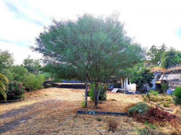 casa indipendente in vendita a Pedara