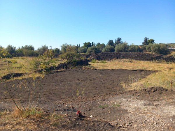 terreno agricolo in vendita a Pedara