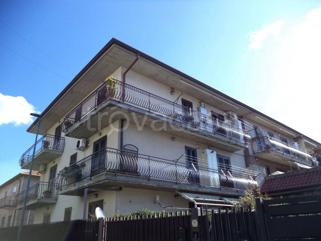 appartamento in vendita a Pedara