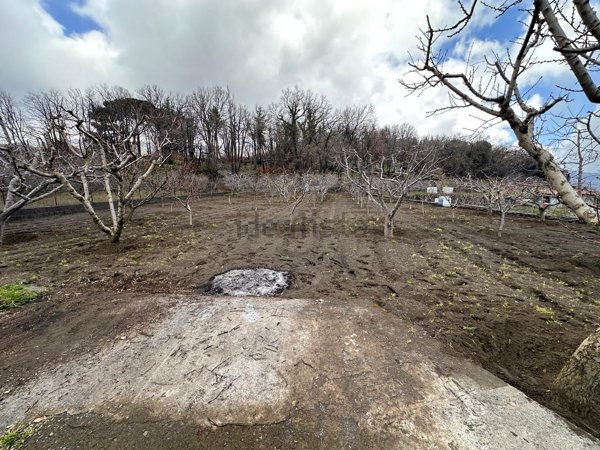 terreno agricolo in vendita a Pedara in zona Tarderia