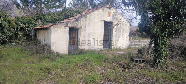 appartamento in vendita a Pedara