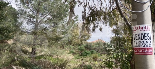 terreno edificabile in vendita a Pedara