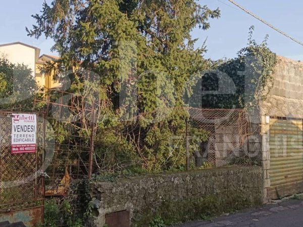 terreno agricolo in vendita a Pedara