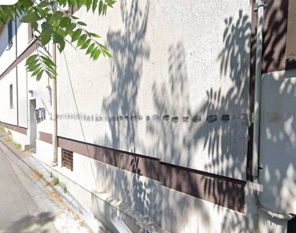 appartamento in vendita a Pedara