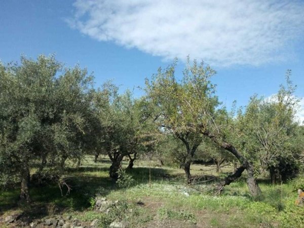 appartamento in vendita a Pedara