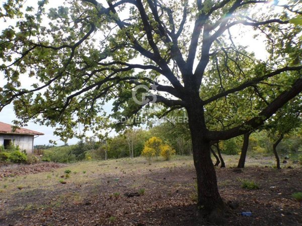 terreno agricolo in vendita a Pedara