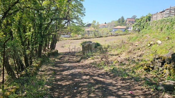terreno agricolo in vendita a Pedara