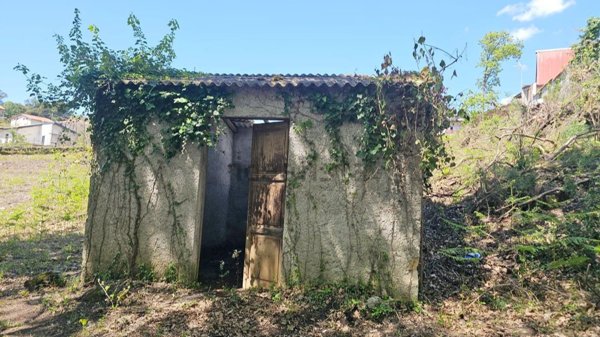monolocale in vendita a Pedara