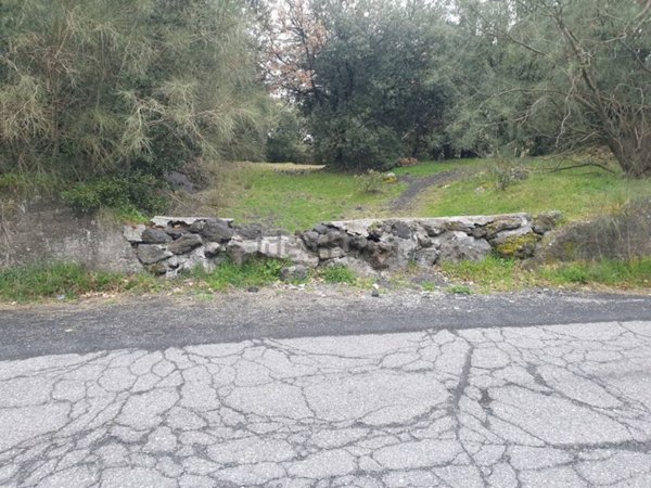 terreno agricolo in vendita a Pedara