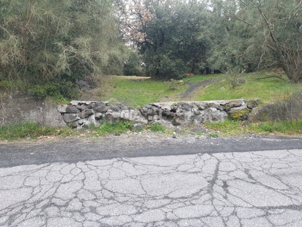 terreno agricolo in vendita a Pedara