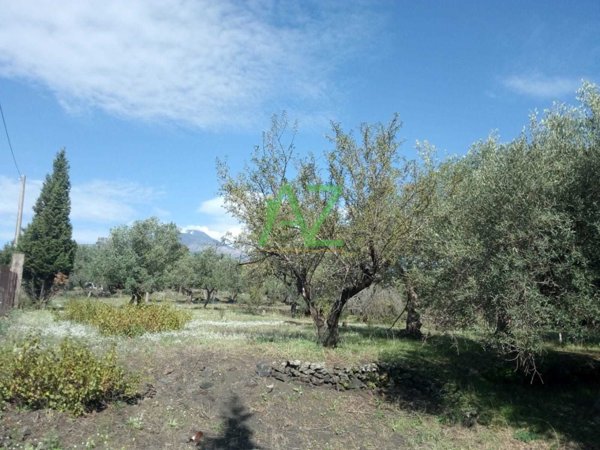 terreno edificabile in vendita a Pedara