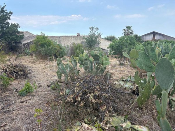 casa indipendente in vendita a Pedara