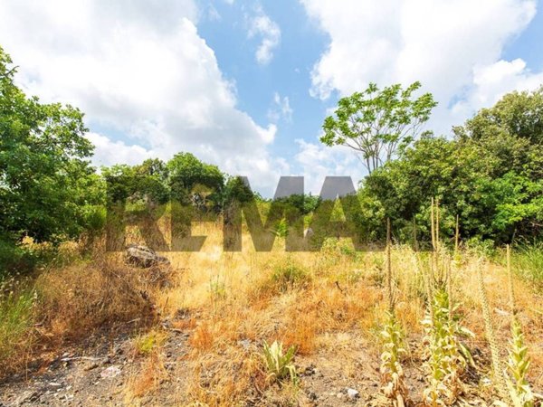 terreno agricolo in vendita a Pedara in zona Tarderia
