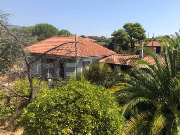 casa indipendente in vendita a Pedara in zona Tarderia