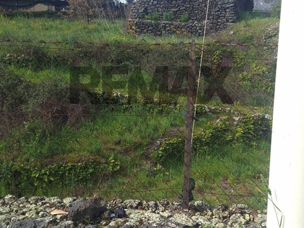 terreno agricolo in vendita a Pedara in zona Tarderia
