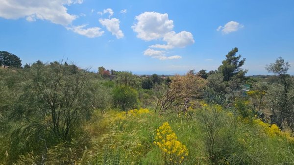 terreno in vendita a Pedara in zona Tarderia