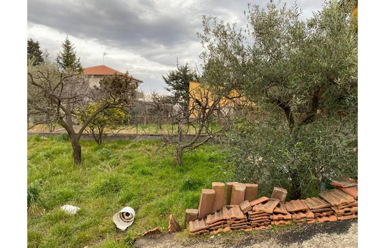 terreno agricolo in vendita a Pedara in zona Tarderia