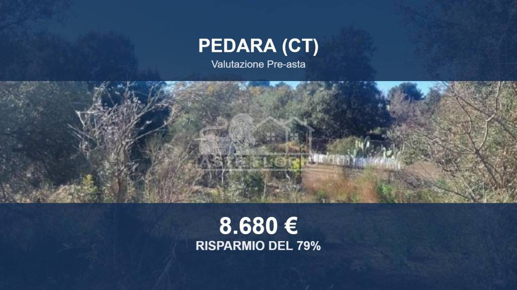 terreno agricolo in vendita a Pedara in zona Tarderia
