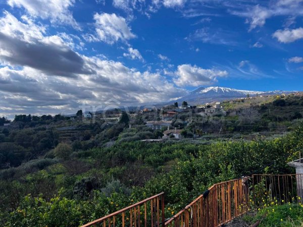 terreno agricolo in vendita a Piedimonte Etneo