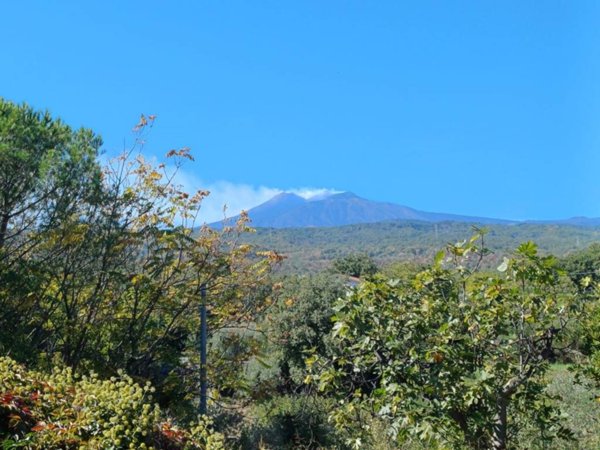 terreno agricolo in vendita a Piedimonte Etneo