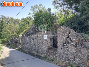 terreno agricolo in vendita a Piedimonte Etneo