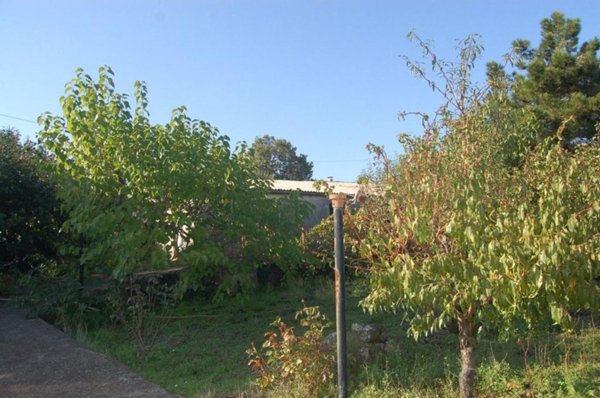 locale commerciale in vendita a Piedimonte Etneo