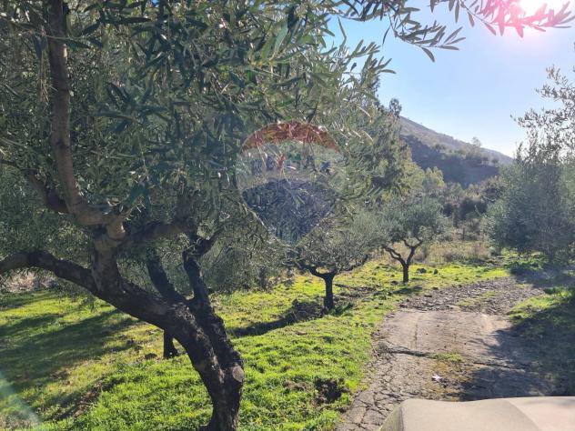 terreno agricolo in vendita a Piedimonte Etneo