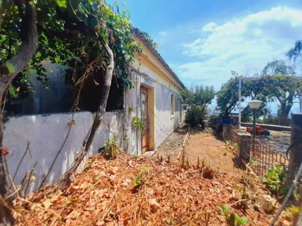 terreno agricolo in vendita a Piedimonte Etneo