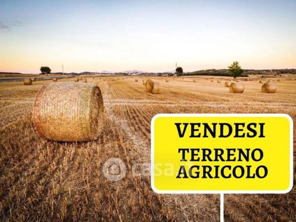 terreno agricolo in vendita a Piedimonte Etneo