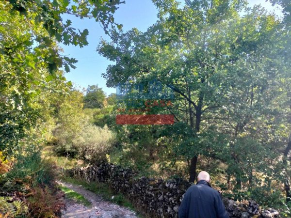 terreno agricolo in vendita a Piedimonte Etneo