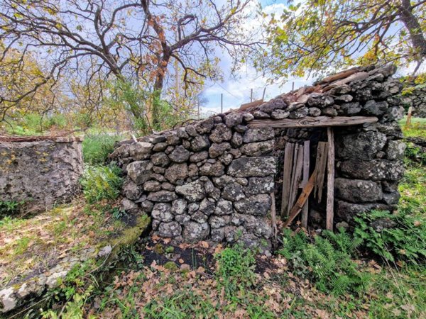 terreno agricolo in vendita a Piedimonte Etneo