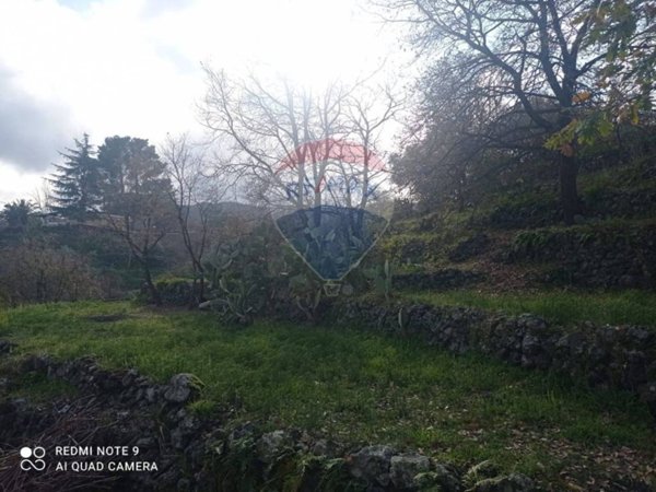 terreno agricolo in vendita a Piedimonte Etneo