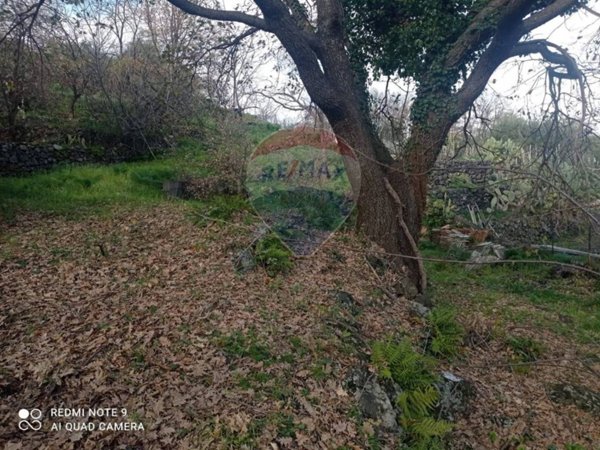terreno agricolo in vendita a Piedimonte Etneo