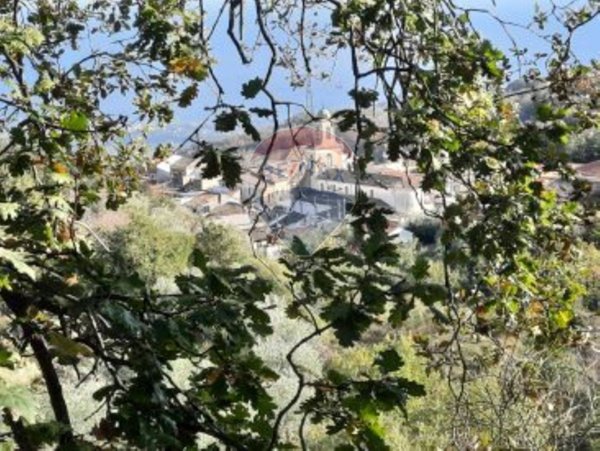 terreno edificabile in vendita a Piedimonte Etneo in zona Vena