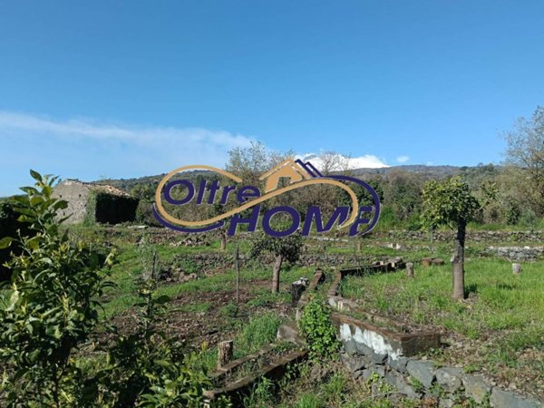 terreno agricolo in vendita a Piedimonte Etneo