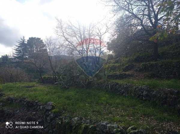 casa indipendente in vendita a Piedimonte Etneo