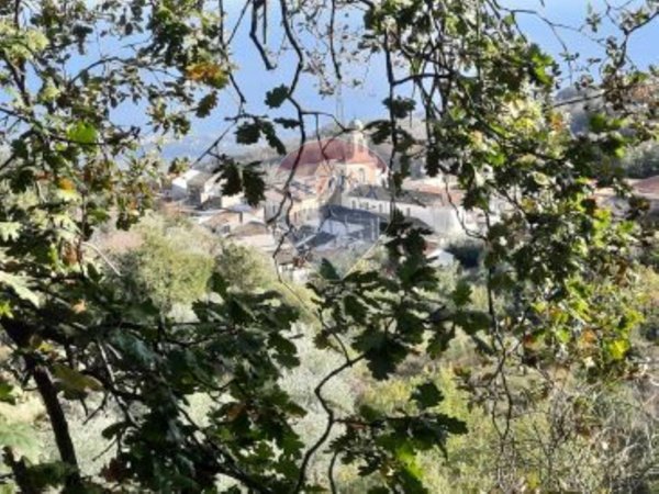 terreno agricolo in vendita a Piedimonte Etneo in zona Presa