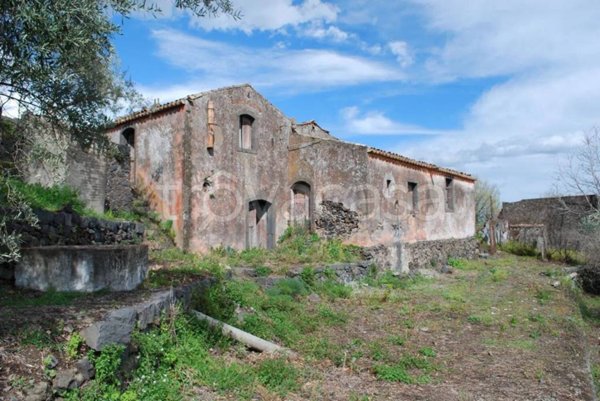 azienda agricola in vendita a Piedimonte Etneo