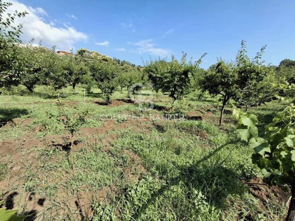 terreno agricolo in vendita a Piedimonte Etneo in zona Presa