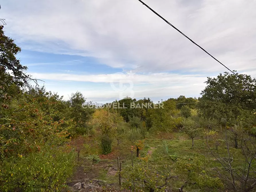 terreno agricolo in vendita a Piedimonte Etneo in zona Vena