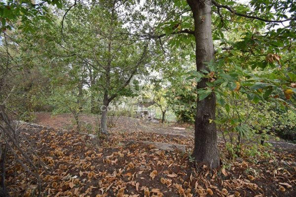 terreno agricolo in vendita a Piedimonte Etneo in zona Vena
